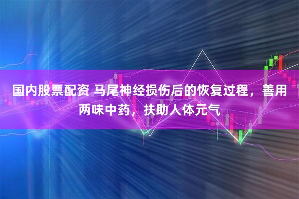 国内股票配资 马尾神经损伤后的恢复过程,善用两味中药,扶助人体元气