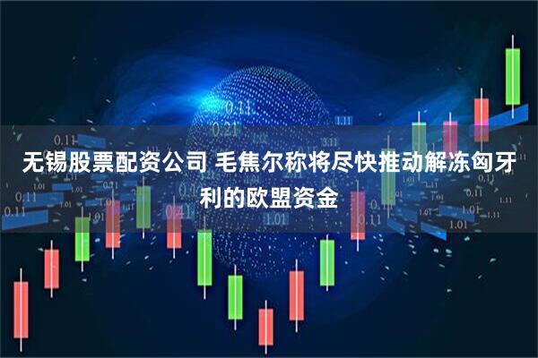 无锡股票配资公司 毛焦尔称将尽快推动解冻匈牙利的欧盟资金