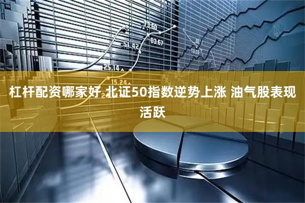 杠杆配资哪家好 北证50指数逆势上涨 油气股表现活跃